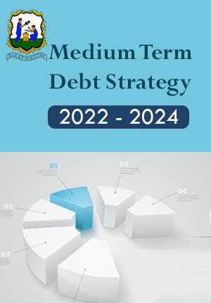 medium term debt strategy 2018-2020