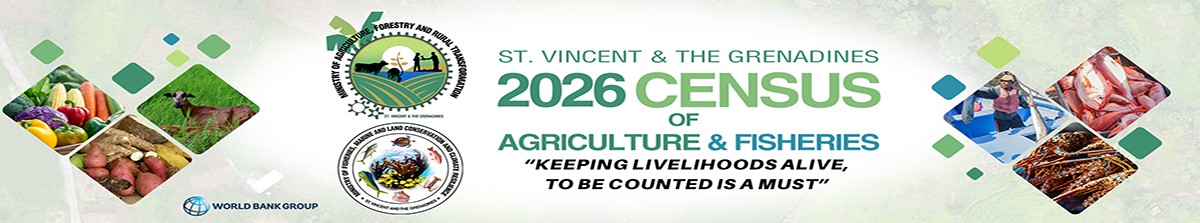 Vinaora Nivo Slider 3.x