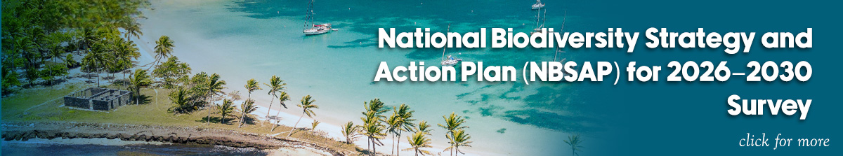 Vinaora Nivo Slider 3.x